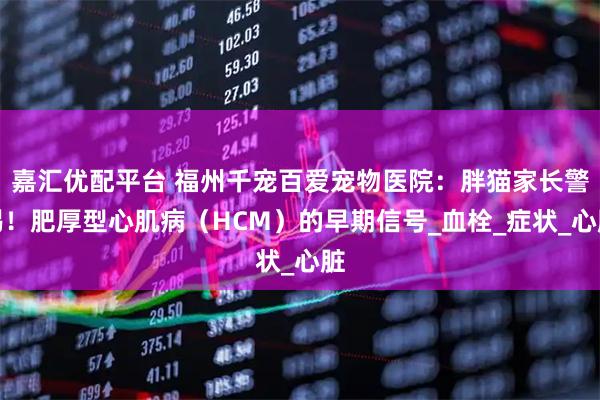 嘉汇优配平台 福州千宠百爱宠物医院：胖猫家长警惕！肥厚型心肌病（HCM）的早期信号_血栓_症状_心脏