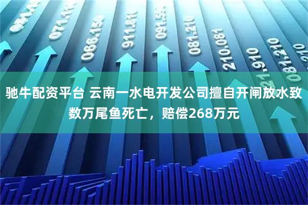 驰牛配资平台 云南一水电开发公司擅自开闸放水致数万尾鱼死亡，赔偿268万元